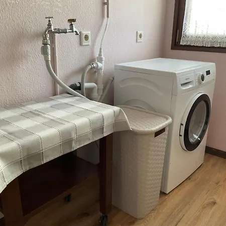 Agi Шляйден